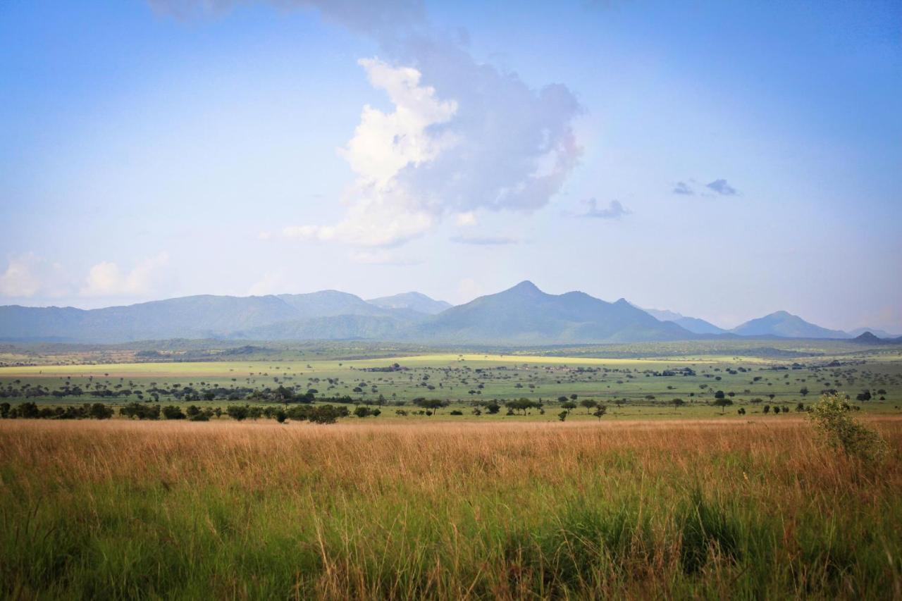 Apoka Safari Lodge Loitanit Dış mekan fotoğraf